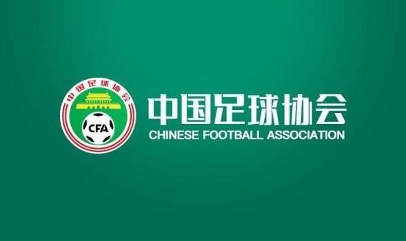 国产视频精品va久久久久久