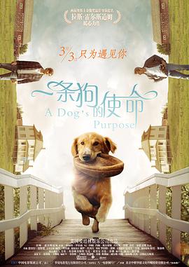 发廊妹的诱惑.