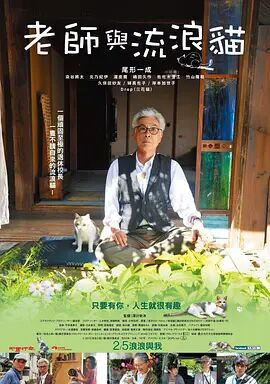日韩欧美视频免费观看