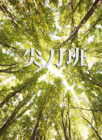 东北水仙二嫂