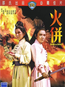 开车的女人